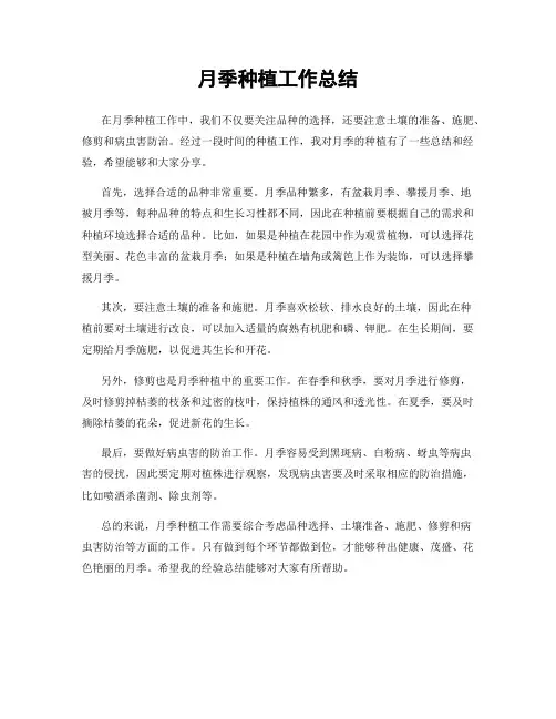 月季种植工作总结