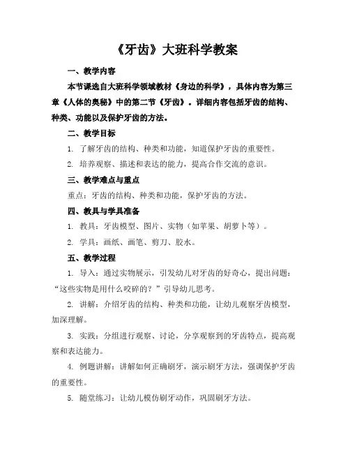 《牙齿》大班科学教案