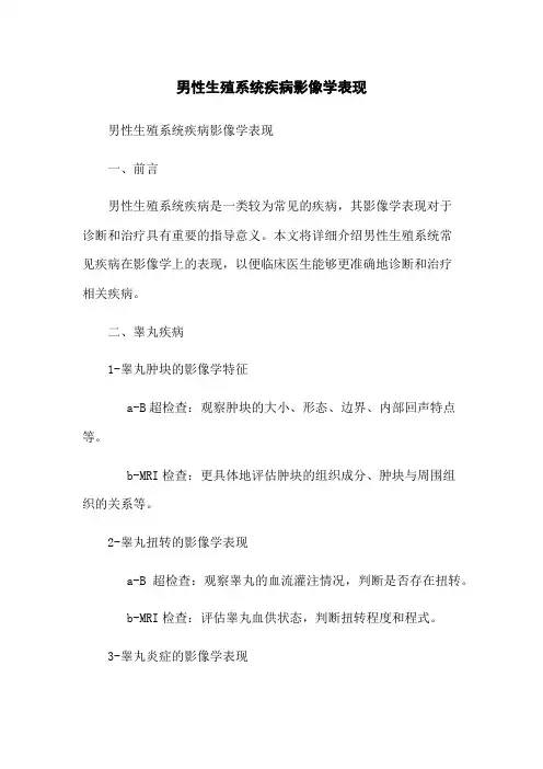 男性生殖系统疾病影像学表现