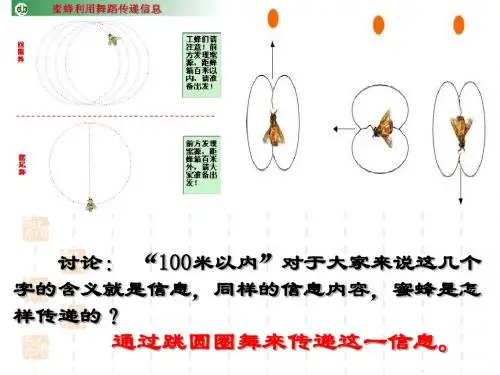 生物必修三5.4  生态系统的信息传递