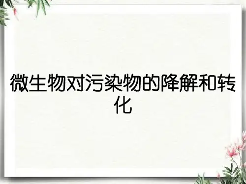 微生物对污染物的降解和转化