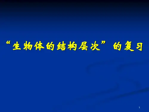 中考生物_【生物体的结构层次】_复习课件