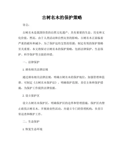 古树名木的保护策略