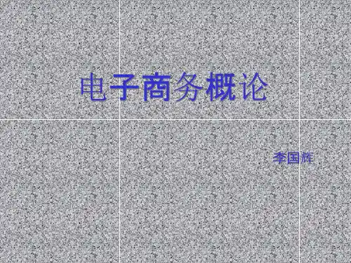 电子政务课件学习(ppt 34页)