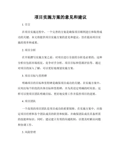 项目实施方案的意见和建议
