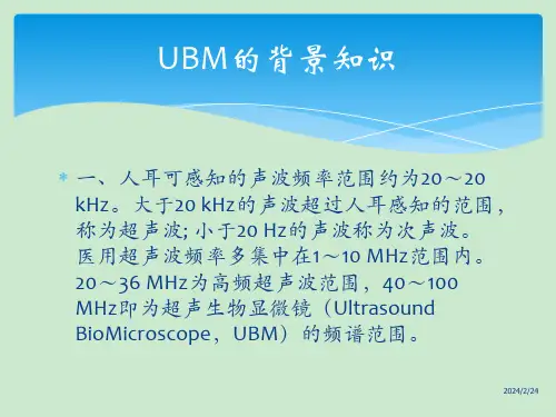 UBM检查适应症版ppt课件