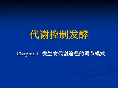 发酵代谢控制4