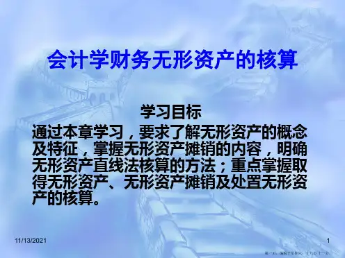 会计学财务无形资产的核算