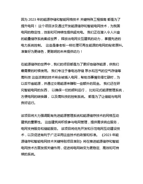 储能与智能电网技术重点专项2023年指南