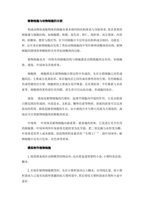 植物细胞与动物细胞的比较