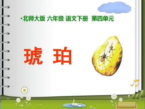 《琥珀》PPT课件