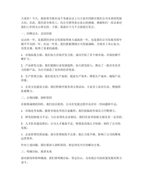 务虚会议上的发言稿