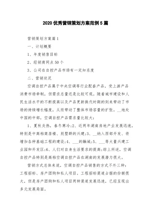 2020优秀营销策划方案范例5篇