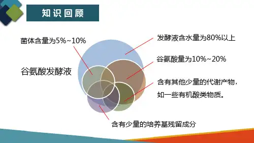 发酵产物提取与精制技术 谷氨酸分批等电点提取工艺