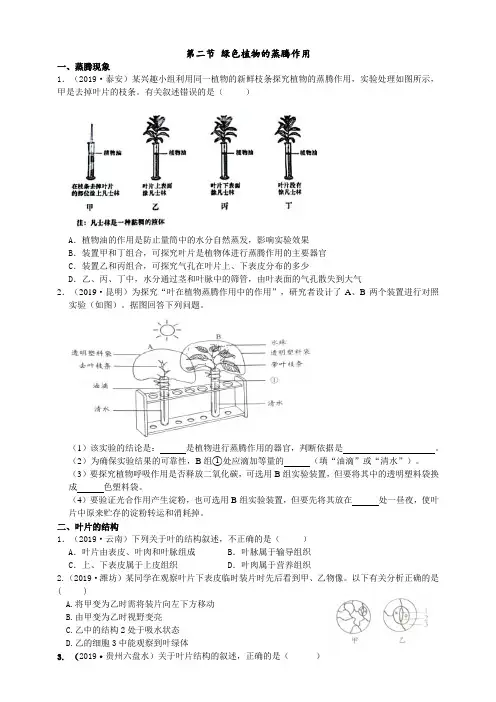 2019年中考生物真题分类：绿色植物的蒸腾作用