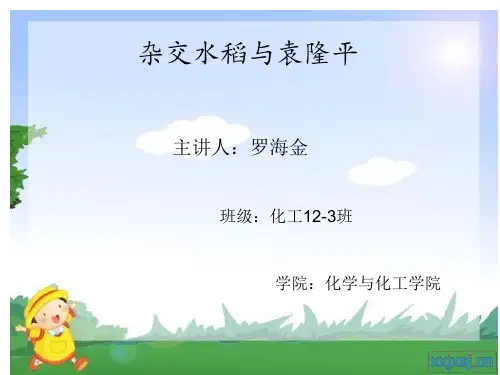 PPT演示文稿杂交水稻精讲