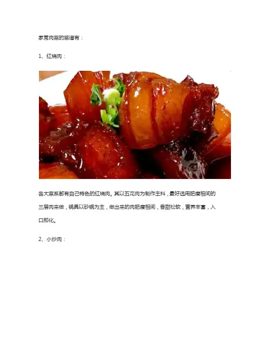 家常肉菜100道菜谱