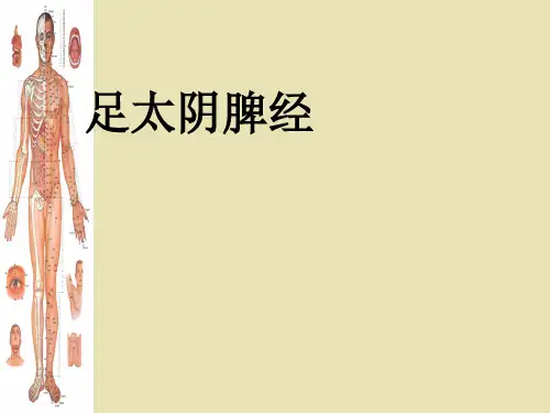 足太阴脾经讲解