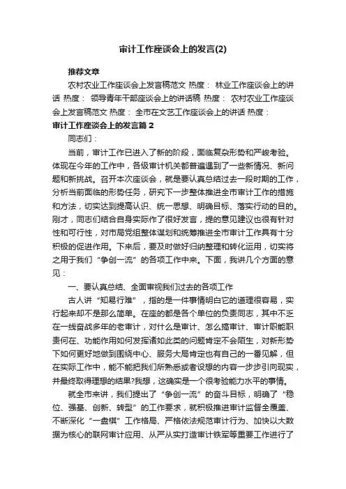 审计工作座谈会上的发言（2）