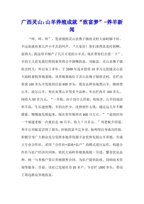 广西灵山：山羊养殖成就“致富梦” - 养羊新闻