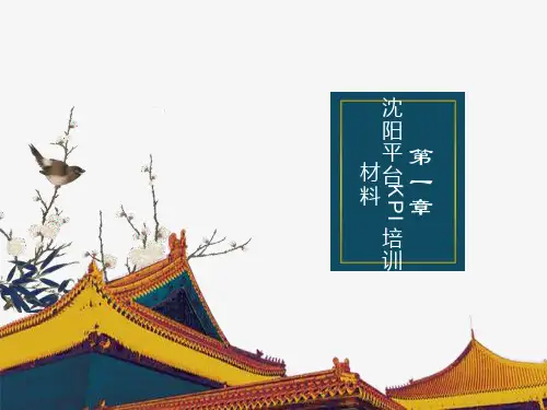 神州数码-沈阳平台KPI培训