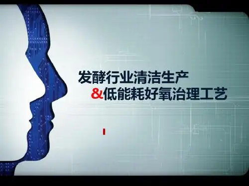 发酵行业清洁生产和低能耗好氧治理工艺