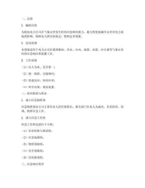 电力公司气象灾害应急预案