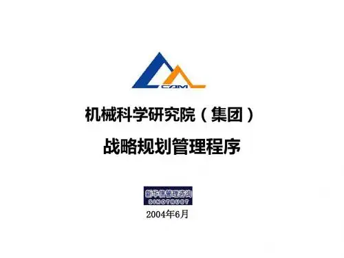 战略规划流程010(精)