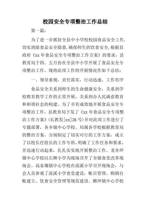 2019校园安全专项整治工作总结