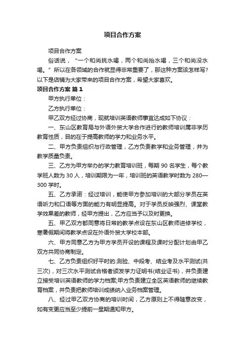 项目合作方案