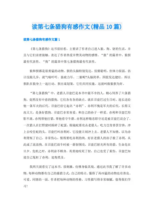 读第七条猎狗有感作文(精品10篇)
