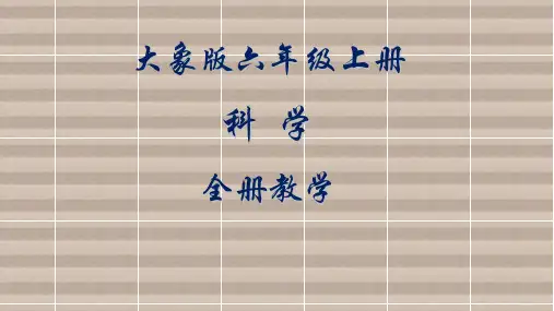 大象版科学六年级上册全册课件