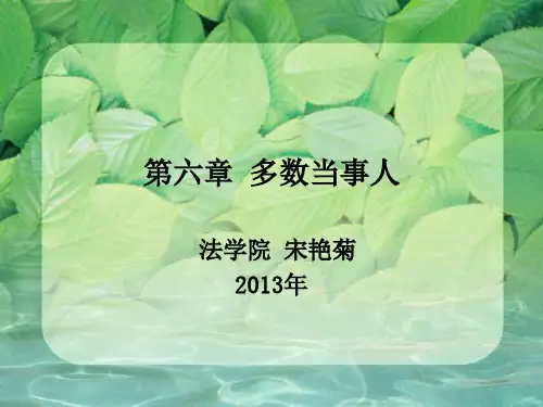 6第六章 多数当事人