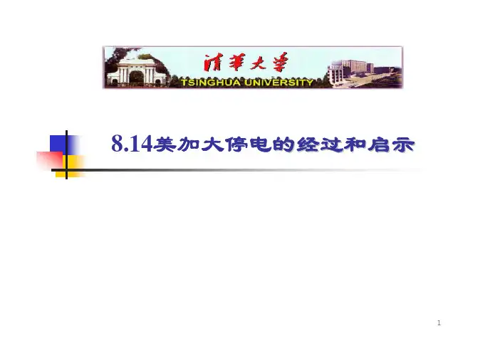 美加大停电简介.pdf