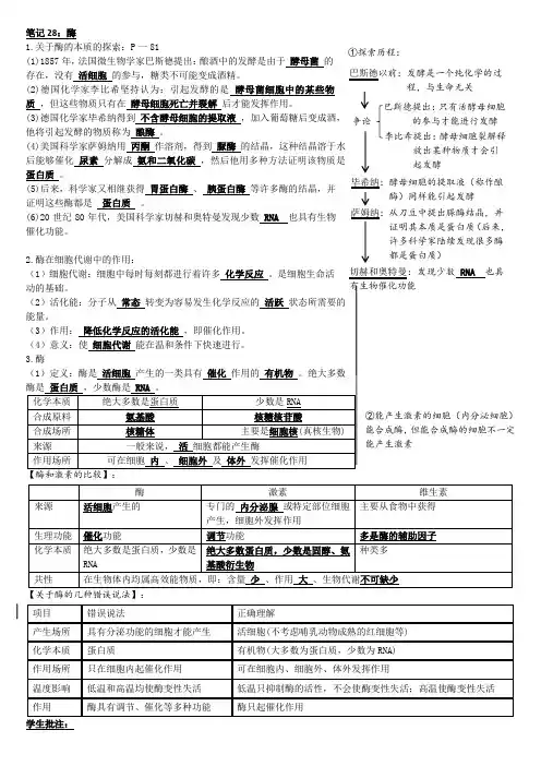 知识点28：酶--高考生物大一轮复习笔记