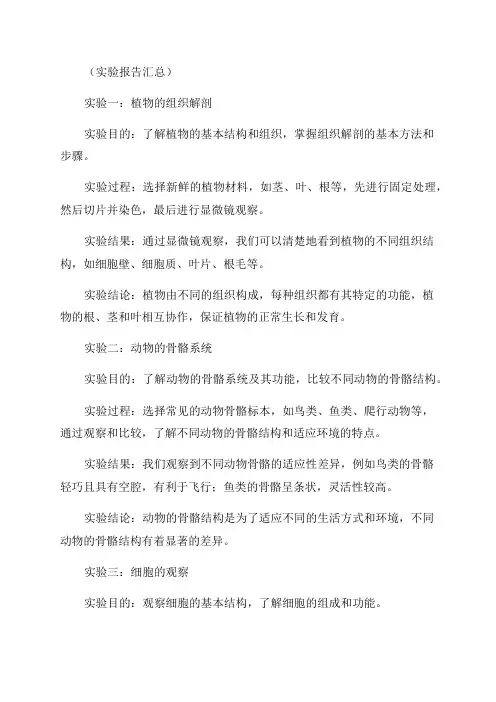 八年级上生物实验报告汇总