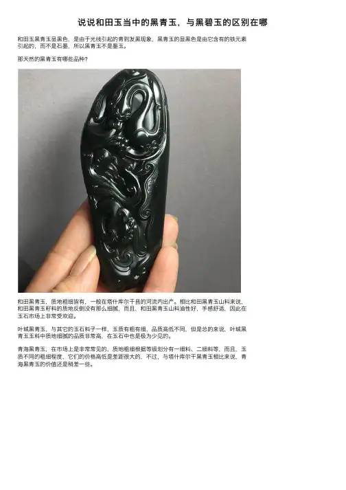 说说和田玉当中的黑青玉，与黑碧玉的区别在哪