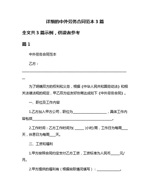 详细的中外劳务合同范本3篇