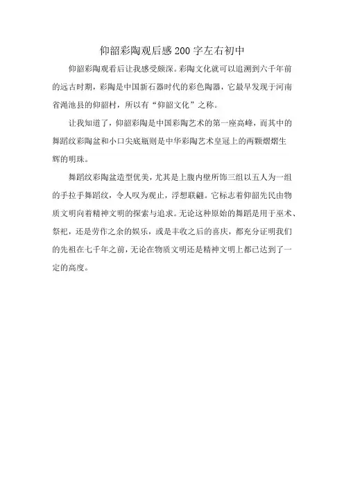 仰韶彩陶观后感200字左右初中