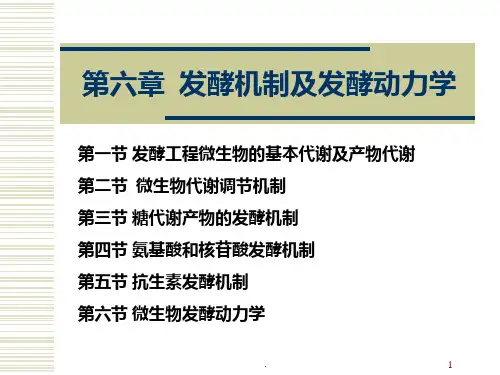 发酵工程六PPT课件