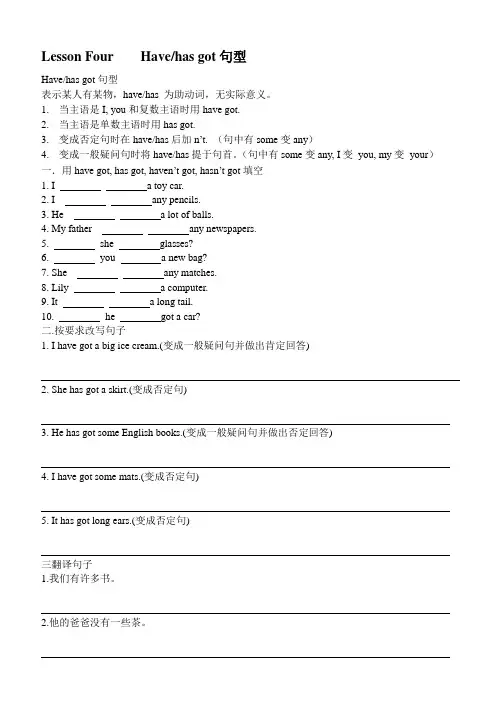 have-has-got句型