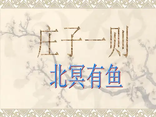 《北冥有鱼》市公开课获奖课件省名师示范课获奖课件