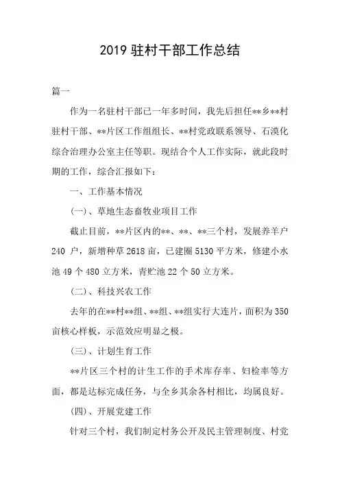 2019驻村干部工作总结