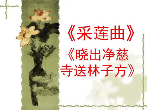 《采莲曲》课件(共10张)