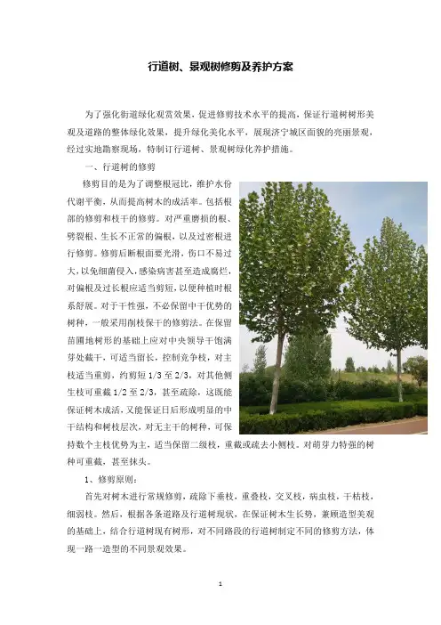 行道树、景观树修剪及养护方案