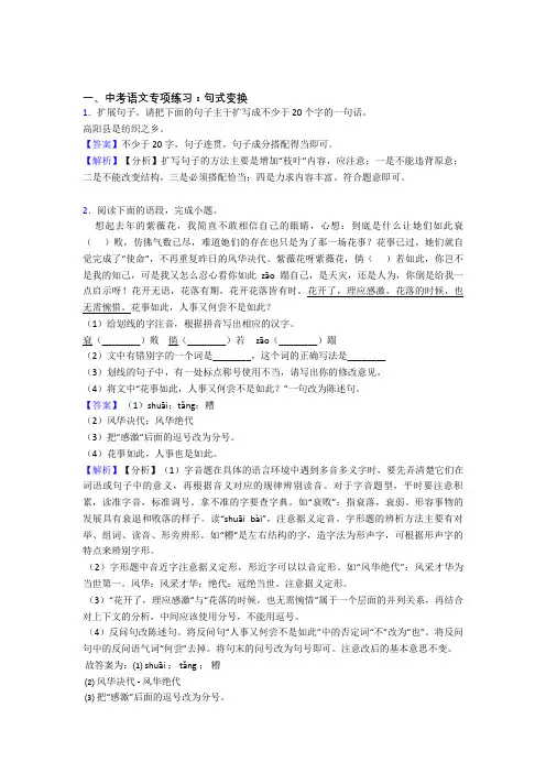 部编初中中考 语文句式变换练习题含答案