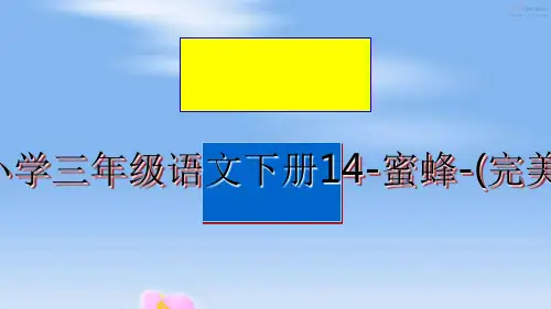 最新最新部编版小学三年级语文下册14-蜜蜂-(完美版)PPT课件精品文档