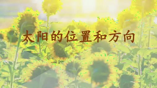 科学二年级上册教科版1.3太阳的位置和方向 课件(共20张PPT)