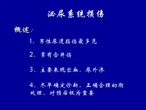 泌尿系统损伤PPT