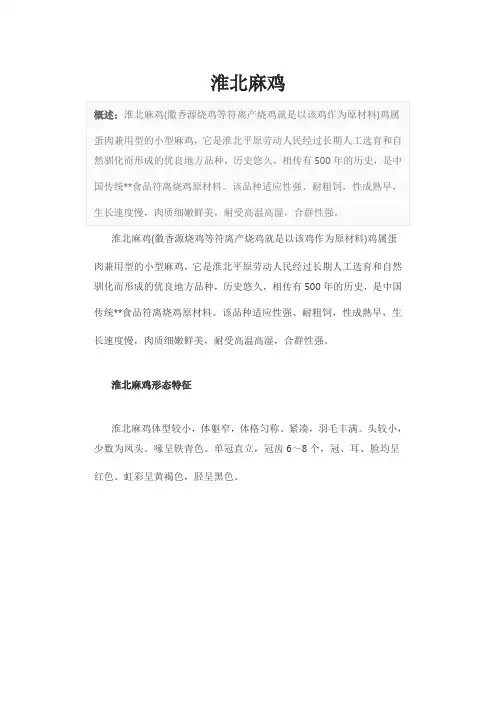 淮北麻鸡